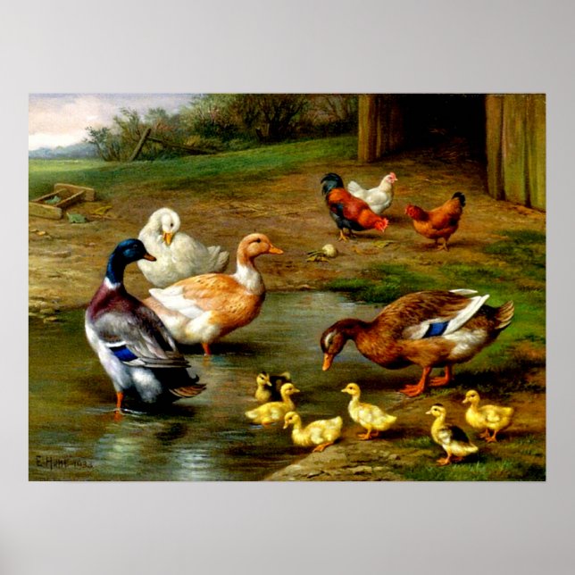 Póster Chickens, Ducks And Ducklings At The Farm (Frente)