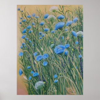 Póster Chicoria y malezas silvestres