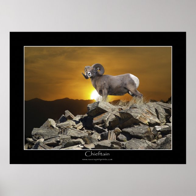 Póster CHIEFTAT BIG HORN SHEEP Wildlife Photo Poster (Frente)