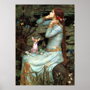 Póster Chihuahua 1 - Ofelia Sentada