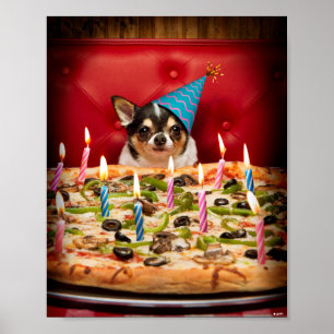 Póster Chihuahua Birthday Pizza Pie