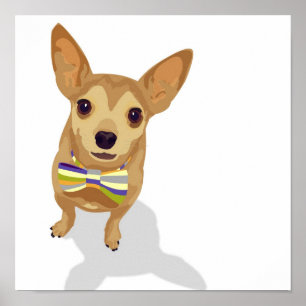 Póster Chihuahua en un poster de bowtie