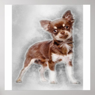 Póster Chihuahua mirando a camer_Dog Lover