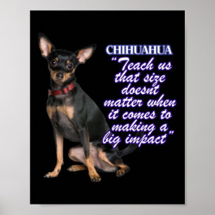 Póster Chihuahua Nos Enseña Ese Tamaño De Las Dosis Cuand