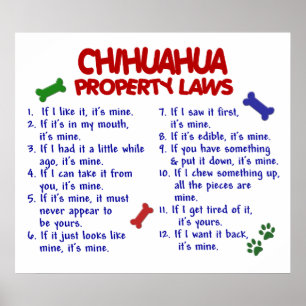 PÓSTER CHIHUAHUA PL2