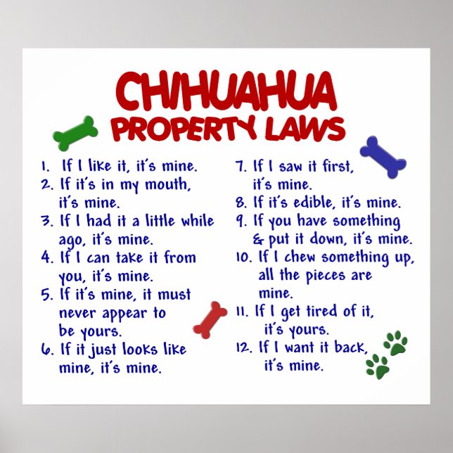 PÓSTER CHIHUAHUA PL2 (Frente)