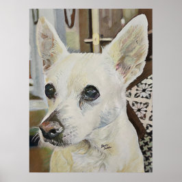 Póster Chihuahua Rat Terrier