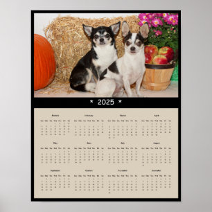 Póster Chihuahua Wall Calendar Poster 2025