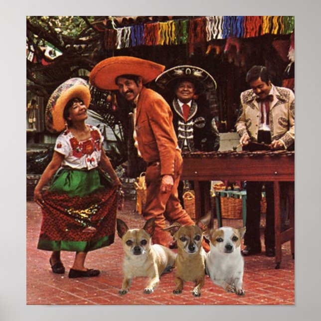 Póster Chihuahuas Poster 3 Amigos (Frente)