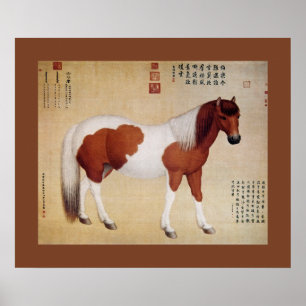 Póster Chihuaying ~赤花鹰~Diez Corceles ~Giuseppe Castiglion