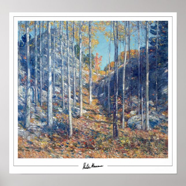 Póster Childe Hassam Zedign cartel #359 (Frente)
