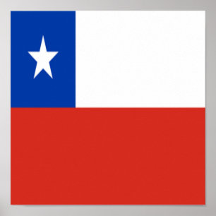 Póster Chile Bandera Orgullo Nativo Chileno