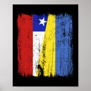 Póster Chile Ucrania Media Bandera Patrimonio Chileno Ucr