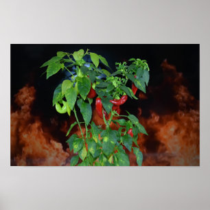 Póster Chili Fuego Picante.