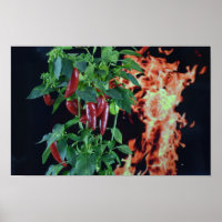 Chili Fuego Picante.