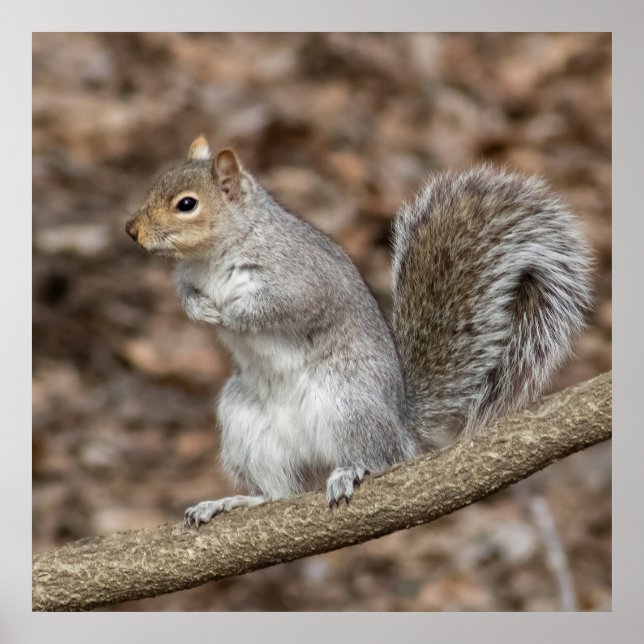 Póster Chill (Frente)