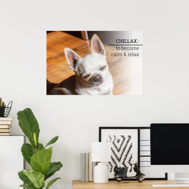 Póster Chillax Chihuahua lengua relajada somnolienta Foto (Oficina en casa)