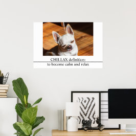 Póster Chillax Chihuahua lengua relajada somnolienta Foto