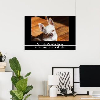 Póster Chillax Chihuahua lengua relajada somnolienta Foto