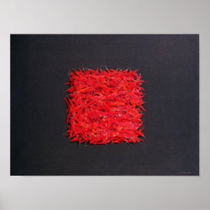 Póster Chillies