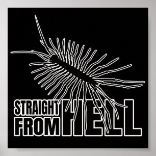 Póster Chilopod Centipede Millipede Entomology Geek