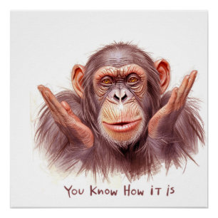 Póster Chimp Te Diciendo: "Sabes Cómo Es"