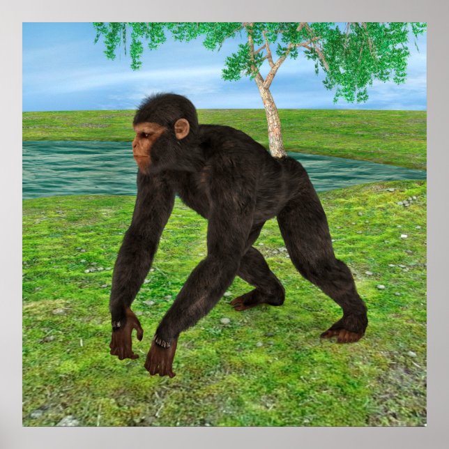 Póster Chimpancé (Frente)