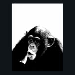 Póster Chimpancé blanco negro<br><div class="desc">Computadora digital Arte animal - Arte pop universitario - Imágenes de computadores animales salvajes</div>