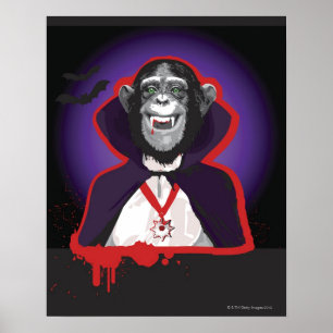 Póster Chimpancé con traje de dracula
