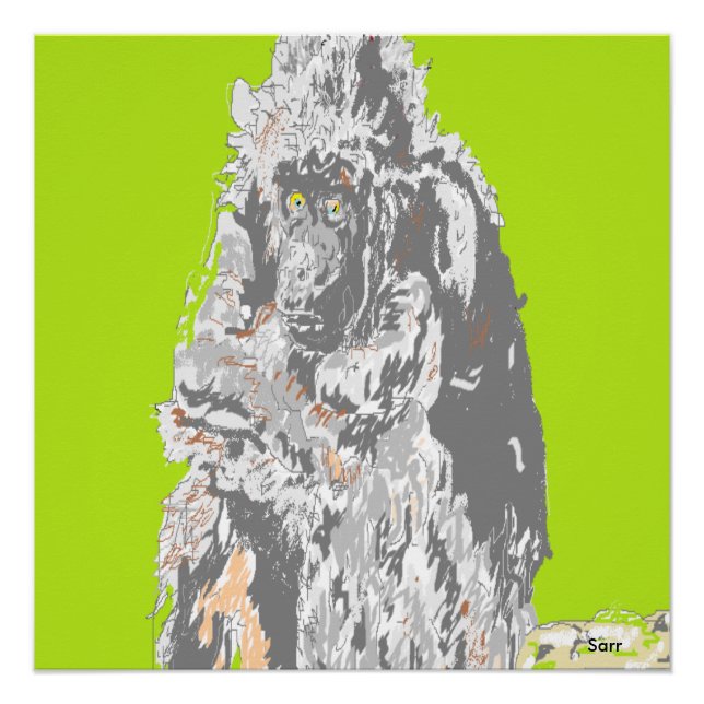 Poster Chimpanzee (Anverso)