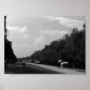 Póster China Antigua Pekín hermoso camino tumbas ming