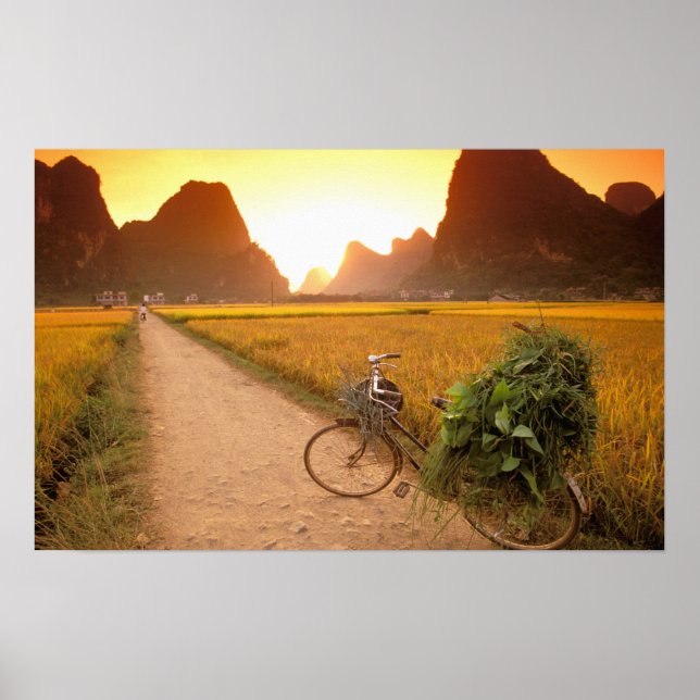 Póster China, Guangxi. Yangzhou, Bicicleta en el campo (Frente)