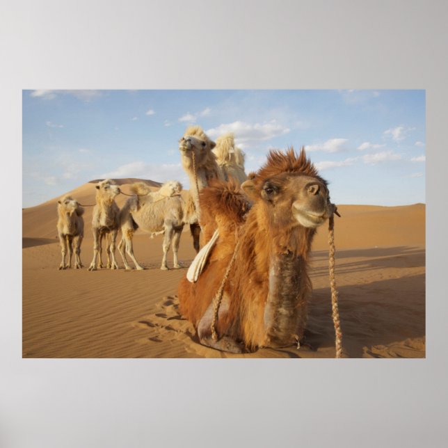Póster China, Mongolia Interior, desierto Badain Jaran 2 (Frente)
