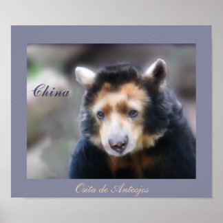 Póster China-Osita de Anteojos