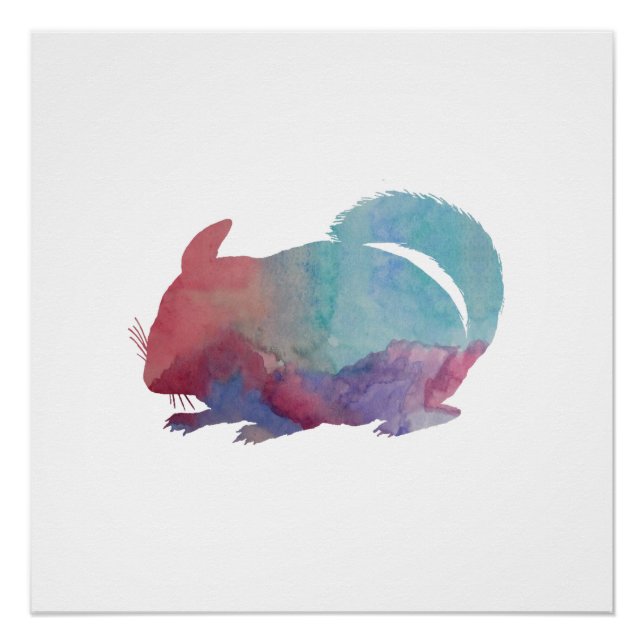 Póster Chinchilla (Anverso)