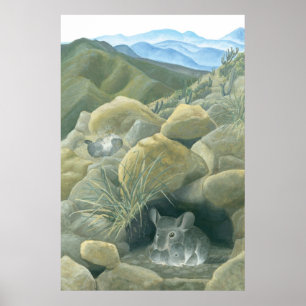 Póster Chinchillas en el salvaje