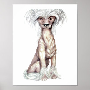 Póster Chinese Crested Hairless