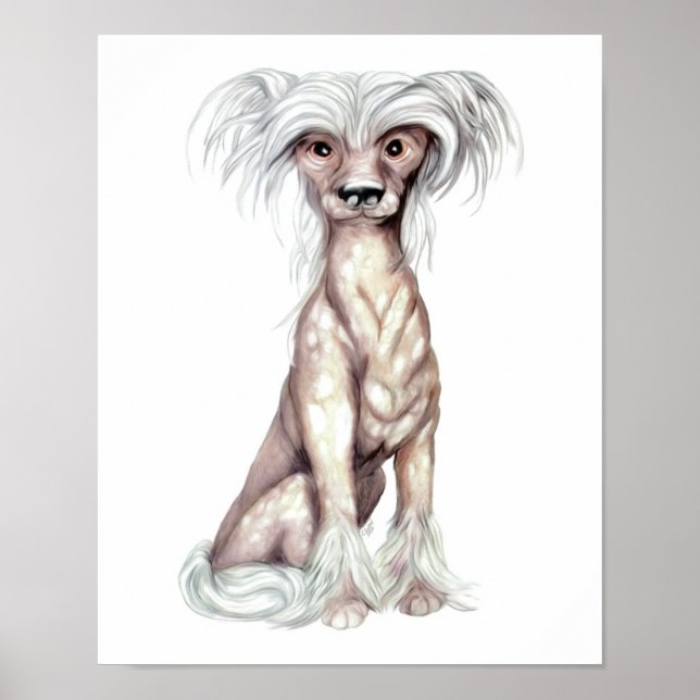 Póster Chinese Crested Hairless (Frente)