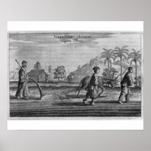 Póster Chinese Peasants, a General Description from an ac