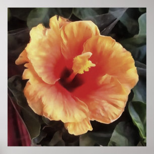 Póster Chinese Rose Flower Artistic Floral Bloom