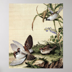 Póster Chinoiserie Vintage Gorriones y Flores Púrpuras