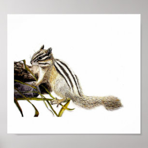 Póster Chipmunk
