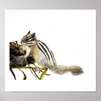 Póster Chipmunk