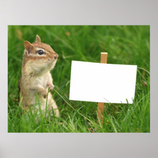Póster chipmunk con signo en blanco