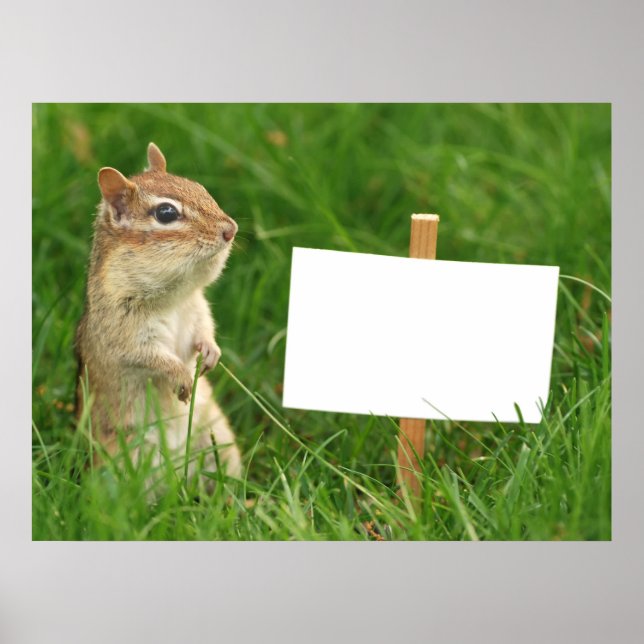Póster chipmunk con signo en blanco (Frente)