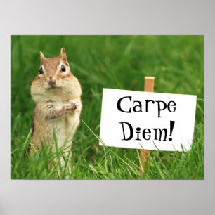 Póster Chipmunk de Carpe Diem con el poster del Rótulo