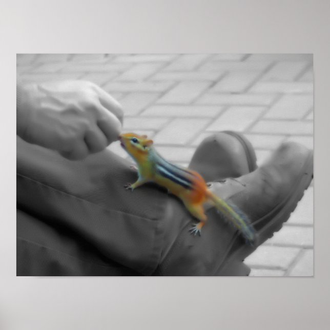 Póster Chipmunk Lunch (Frente)