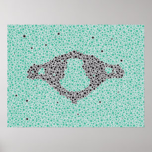 Póster Chiropractic Anatomy Artwork Cervical Vertebrae