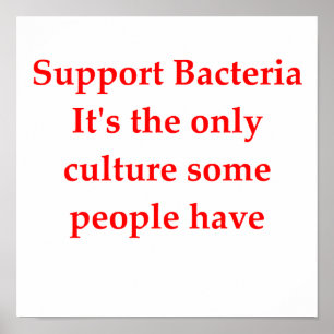 Póster chiste de biología