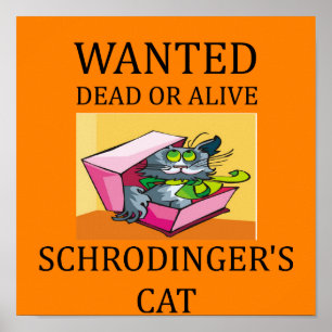 Póster chiste del gato de los schrodinger